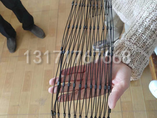 上海氧化黑色钢丝绳网案例